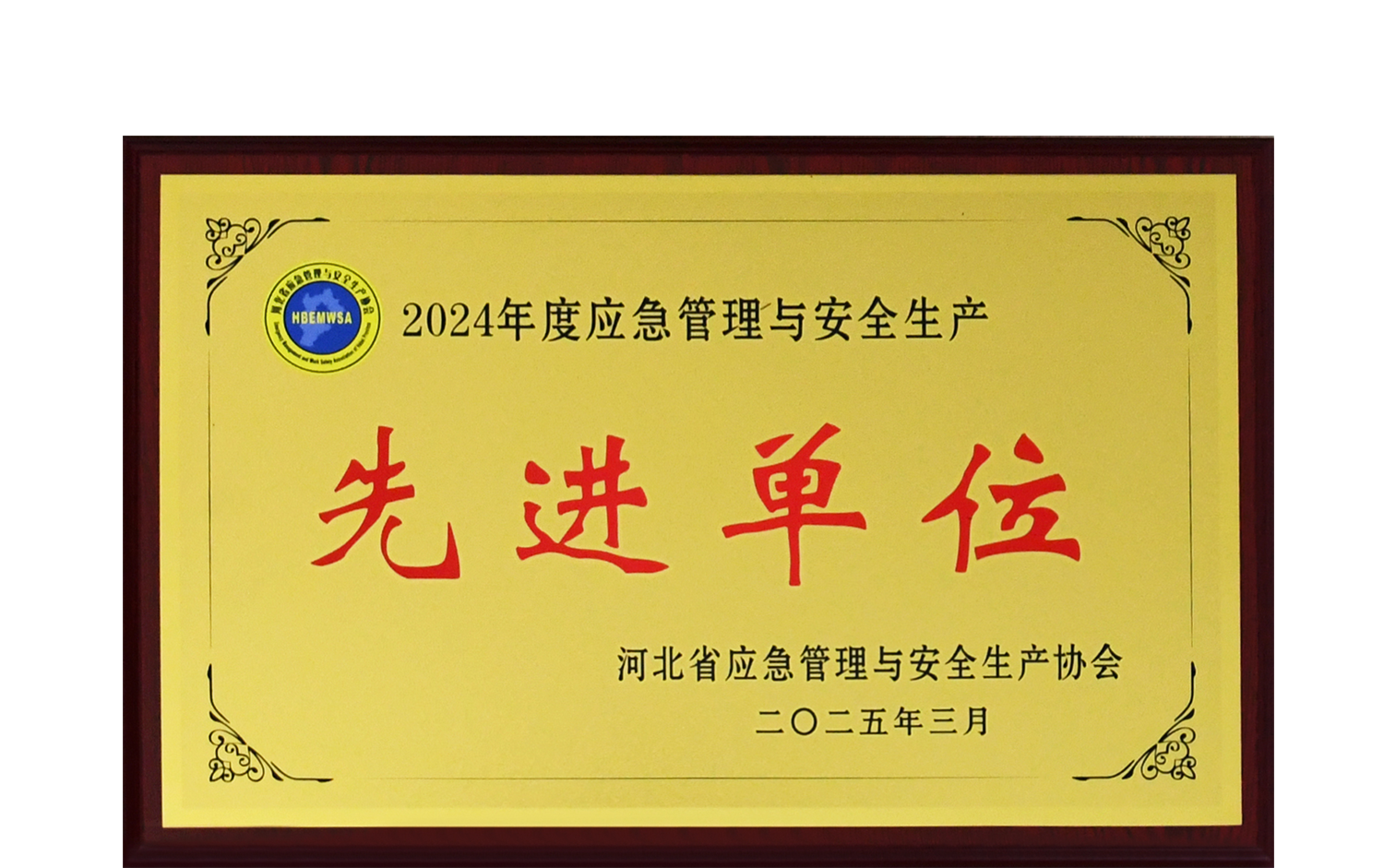 公司榮獲“2024年度應(yīng)急管理與安全生產(chǎn)先進(jìn)單位”
